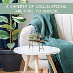 Plant Terrarium with Wooden Stand, Air Planter Bulb Glass Vase Metal Swivel Holder Retro Tabletop for Hydroponics Home Garden Office Decoration - 3 Bulb Vase - Image 7