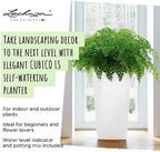 Lechuza CUBICO 30 Cream White High Gloss, Self-Watering Tall Planter, H22 L11.8 W11.8 in - Image 3