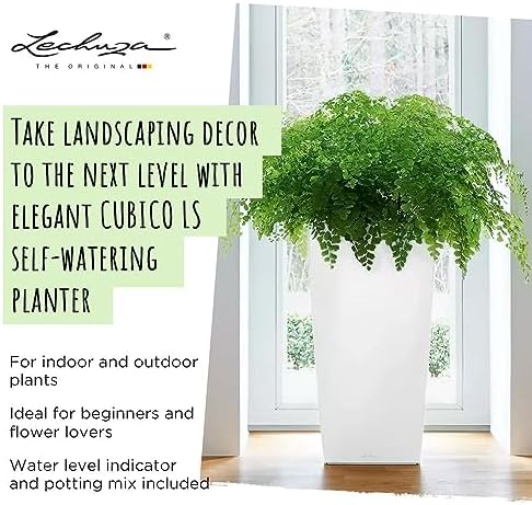 Lechuza CUBICO 30 Cream White High Gloss, Self-Watering Tall Planter, H22 L11.8 W11.8 in - Image 3