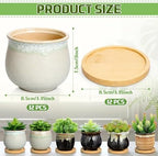 Remerry 12 Pcs Ceramic Succulent Pots with Drainage 3.5 Inch Bamboo Tray - Image 3