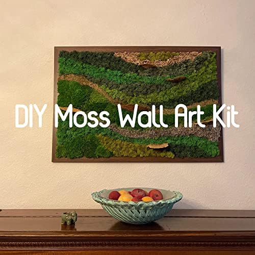 Bulk Wholesale Preserved Sheet Moss Sheet Moss Bun Moss Cushion Moss Natural Green Decorative Real Terrariums(10 sq.ft.) (Green-B) - Image 3