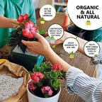 40QT Horticultural Perlite Bulk, Organic Perlite for Plants, Course Perlite for Gardening, for Plants Indoor, for Houseplants, to Promotes Soil Root Growth, and Water Drainage and Plant Growth(3-6mm) - Image 2