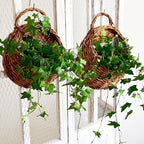 Wall Hanging Flower Basket, Woven Wicker Hanging Basket for Plant, Medium - Image 3
