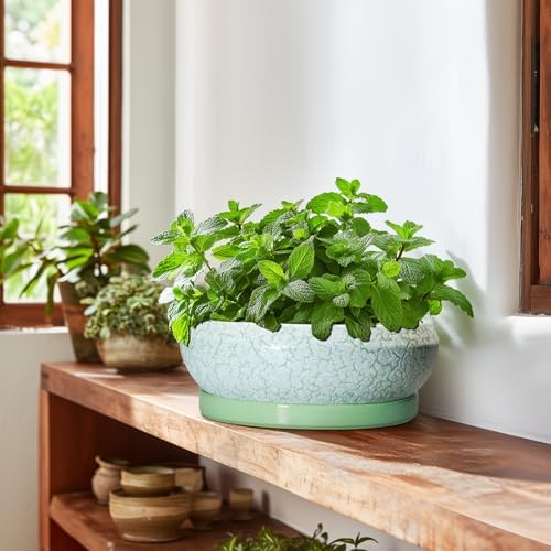 Bonsai Pots - 10 Inch Ceramic Succulent Pot with Drainage Hole and Plant Saucer, Succulent Planters for Indoor Outdoor, Round Planter Bowl, Shallow Planter, Home Decor, Gardening Gift, Green - Image 6