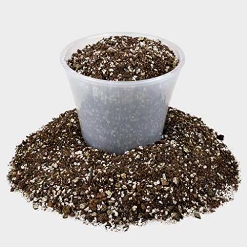 Premium African Violets and Gesneriad Premium Soil Mix by Gardenera - Horticultural Perlite (25%) + Vermiculite (25%) + Sphagnum Peat Moss (50%) - Made in USA - (5 Quart Bag) - Image 4