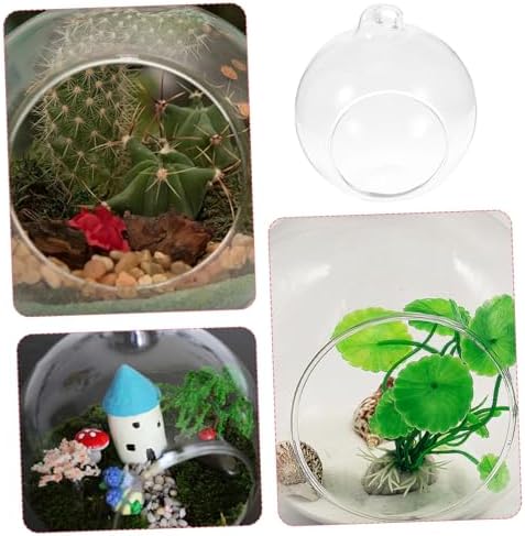 12Pcs Transparent Hanging Glass Globe Terrarium for Air Plants Creative Micro Landscape Decor for Home Office Decoration and Plant Display - Image 3