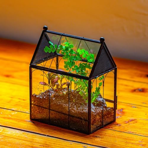 NCYP Small Glass Terrarium Enclosure with Mesh for Jumping Spiders, Micro House Shaped Small Spiders Vented Glass Terrarium, Home Decor Black, 5.8" x 3.8" x 7" (No Plants) - Image 5