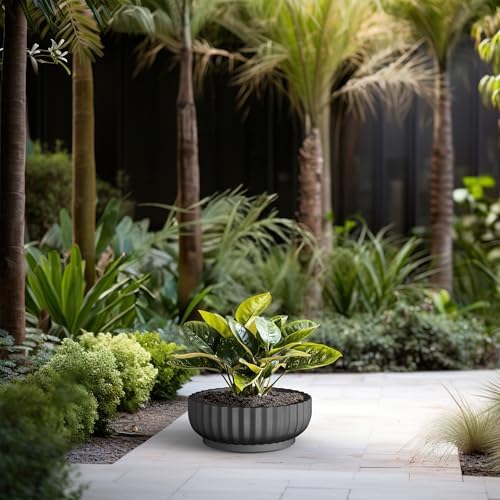 Kante Small Round Shallow Black Concrete Planter 14.6" Dia, Outdoor - Image 3