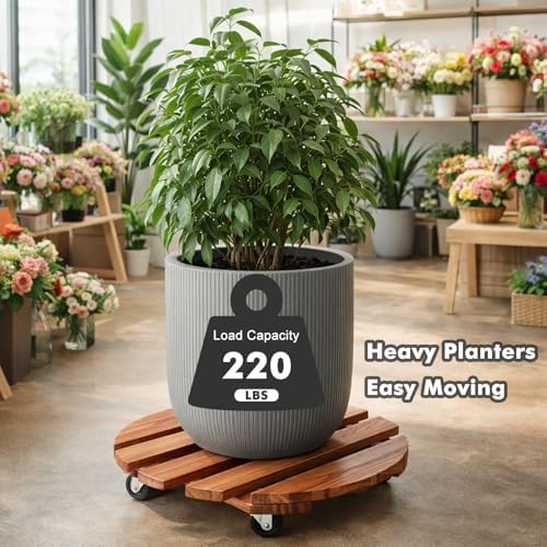 18 Inch Plant Caddy with Wheels, 6 Pack Rolling Plant Stand Rollers with Casters Wooden Plant Dolly with Wheels Heavy Duty Large Rolling Planter Base for Indoor & Outdoor Plants Wood Flower Stand - Image 5