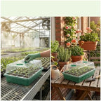 4Pcs 40 Holes Seed Starter Tray Plant Trays with Humidity Vented Domes Bases Starting Indoor Gardening - Image 3