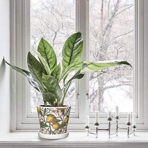 5.5 Inch Decorative Plant Pots, Round Ceramic Planters for Indoor Plants Pots with Drainage Hole Saucers, Lemon Green Leaves Ceramic Flower Pots Retro Planter Pot for Succulents Cactus Outdoor Garden - Image 4