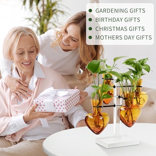 Plants Propagation Stations Plant Terrarium Kit Gift for Women - Image 5