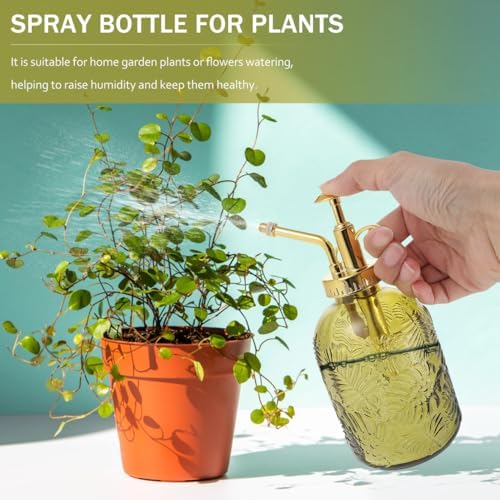 YARNOW 12 Oz Spray Bottle for Plants Garden Sprayer Pump Sprayer Small Watering can with Wide Nozzle Anti-Skid Base for Indoor and Outdoor Plant Care - Image 5