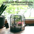 REDHUGO Large Glass Terrarium, Handmade Indoor Planter Display Box, Black - Image 4