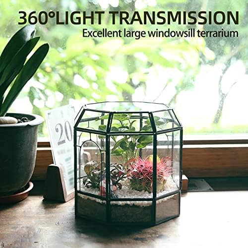 REDHUGO Large Glass Terrarium, Handmade Indoor Planter Display Box, Black - Image 4
