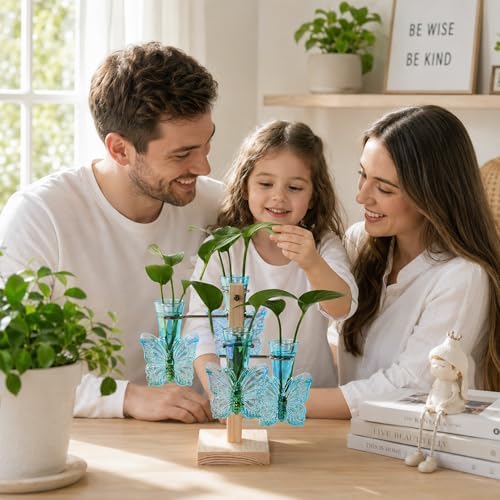 Nacome Plant Terrarium Propagation Stations: Blue Vase with Wooden Stand - Image 2