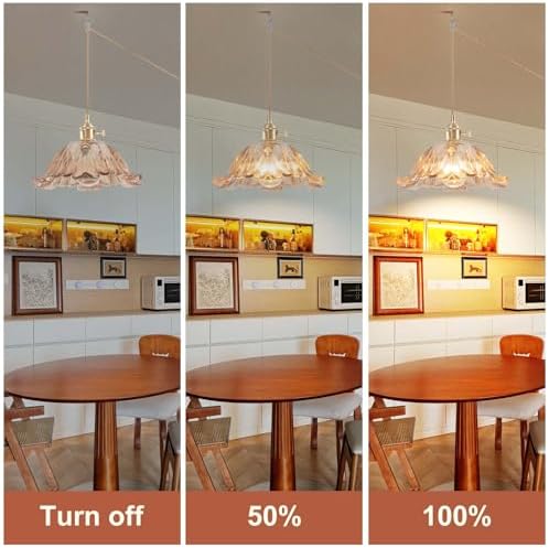 Plug in Pendant Light Fixtures,Hanging Light Fixture Flower Amber Glass Pendant Light 11 inch E26 Pendant Lighting for Kitchen Island, Bedroom, Dining Room, Living Room - Image 5