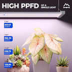 Barrina TX-L84 4FT LED Grow Light, 336W (4 x 84W), 4 Panels Wider Coverage - Image 3