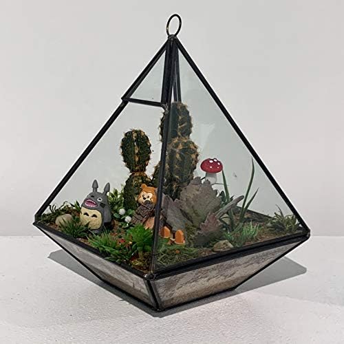 WGV Hanging Geometric Planter Terrarium Bulk Width 6" Height 8" Clear Glass Black Frame DIY Succulent air Plant Miniature Fairy Garden Windowsill Decor Raised Pyramid 6 Pieces - Image 6