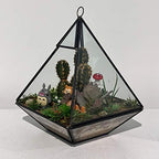 WGV Hanging Geometric Planter Terrarium Bulk Width 6" Height 8" Clear Glass Black Frame DIY Succulent air Plant Miniature Fairy Garden Windowsill Decor Raised Pyramid 6 Pieces - Image 6