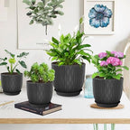 Plastic Plant Pots 10/9/8/7.5/7 inch Set of 5, Flower Planters with Drainage Holes and Saucers, Plastic Pots for Indoor Outdoor Plants, Livingroom Garden Decor (Black) - Image 7