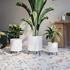 EverNest Claire Honeycomb Neutral Modern White Planter with Nyra Stand, Indoor Plant Pots, SelectBase, Mid-Century Modern, Boho Style Home Decor for Plants (Set of 3, Black) - Image 3
