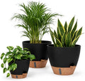 Backyard Expressions Self Watering Pots for Indoor Plants, 3 Pack, Black by BackyardExpressions