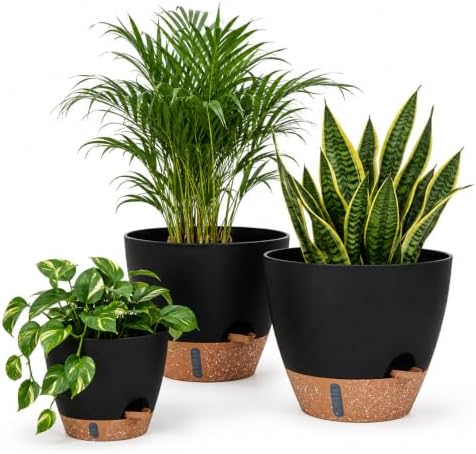 Backyard Expressions Self Watering Pots for Indoor Plants, 3 Pack, Black by BackyardExpressions