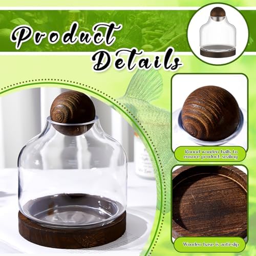 2 Pcs Glass Terrarium Container with Wooden Base and Decorative Ball Lid, 7 Inch DIY Terrarium Jar for Moss, Ferns, Air Plants and Succulents, Mini Indoor Garden Vase for Home Office Desk Decor - Image 3