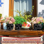 2 Pack Halloween Skull Planter, Dark Style,Black - Image 4