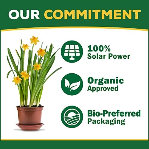 Espoma Organic Plant-Tone 5-3-3 Natural & Organic All Purpose Plant Food; 36 lb. Bag; The Original Organic Fertilizer for All Flowers, Vegetables, Trees, and Shrubs - Image 6