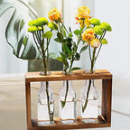 Terrarium Vases Wooden Frames Transparent Glass Tubes Plant Propagation Tube Vase Gardening Art Home Office Decor (3 Bottle) - Image 4