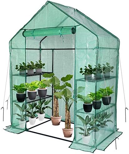 56x30x76 Portable Walk-in Greenhouse for Outdoors, Plant House with Shelves by SVSCOOLVALUE