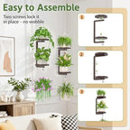 LASZOLA Plant Hanger Holder Window Shelf Wall Mounted Indoor, 2 Pcs Bronze - Image 3