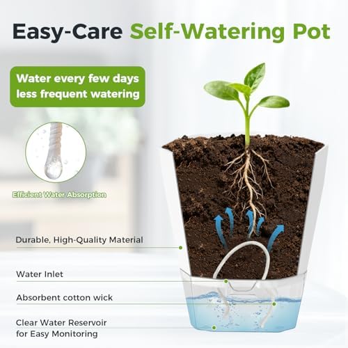 12 Pack Self Watering Plant Pots 6 Inches Self-Watering Planters for Indoor and Outdoor Plants African Violet Succulent Pots Clear Pot for Plants Large Herb Orchid Flower Houseplant Plant, Dark Grey - Image 5