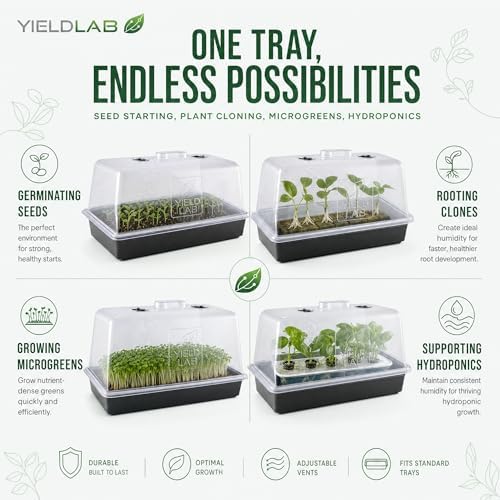 10x20 Humidity Dome with Plant Propagation Trays - 20 Pack Clone - Image 2