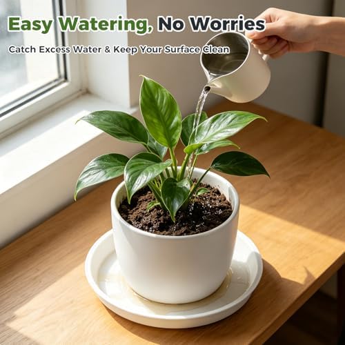 50 Packs 4/6/8/10/12 Inch Plastic Plant Saucers for Indoor Outdoor, Plant Water Catcher Tray for Pots, Bulk Flower Pot Saucers, Drip Trays for Potted Plants, Round Plates to Catch Water, White - Image 2