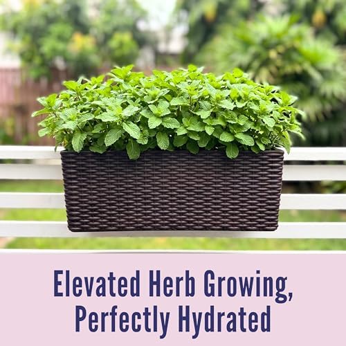 LaLaGreen Deck Railing Planter Box (20 Inch, 4 Pack) Brown Rectangular Window Flower Boxes with Bracket, Self Watering System Hanging Planter Box for Outdoor Plant Container Herb Rail Fence Balcony - Image 6