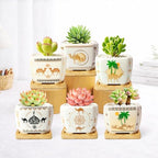 Succulent Pots with Drainage, 3.2" Small Plant Pots with Bamboo Trays, Ceramic Pots for Indoor Plants, Cactus Pots, Mini Succulent Planters for Home Garden Decor, Set of 6 - Image 2