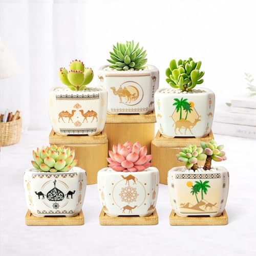 Succulent Pots with Drainage, 3.2" Small Plant Pots with Bamboo Trays, Ceramic Pots for Indoor Plants, Cactus Pots, Mini Succulent Planters for Home Garden Decor, Set of 6 - Image 2