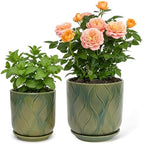 Ceramic Glaze Plant Pot Set 7.2+5.8 Inch Planter with Drainage Hole,Mesh Net,Saucer,for Indoor Outdoor (Leaf-Green) by Unknown