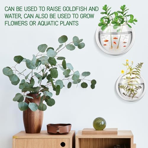 DoubleFill 4 Pcs Wall Fish Tank wall Aquarium Hanging Fish Bowls 9in 6in Acrylic Fish Bubble Ecosphere Decor Fish Bubble Hanging Fish Bowl Clear Vase Flower Plant Pot - Image 5