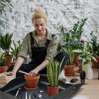 2 PCS Waterproof Gardening Planting Mat, Succulent Repotting Transplanting for Garden Plant Flower Pot Potting Plants Pad for Garden(PVC Green 50x50CM) - Image 7