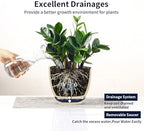 Selamica Ceramica Plant Pots, 6.5 Inch Flower Pots Set of 2 with Drainage Holes & Saucer, Planters for Indoor Plants, Home Decor, Vintage Blue - Image 7