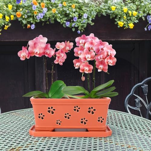 Rectangle Ceramic Orchid Pot 10In Orchid Pots with Holes for Premium Ceramic Orchid Planter for Indoor and Outdoor Use Drainage & Air Circulation Red Orchid Planter for Repotting or New Plants - Image 4