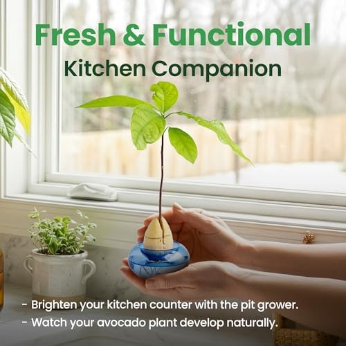 Glass Avocado Seed Vase for Growing – Hand-Blown Avocado Vase, Indoor Plant Vase and Avocado Planter Pot for Plant Growing (Light Blue) - Image 7