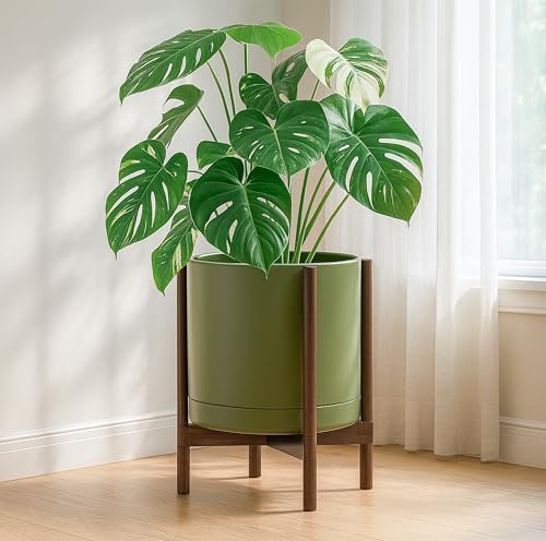 D'vine Dev Ceramic Pot with Walnut Wood Stand, Olive, 14 in, 55-B-T-J - Image 2