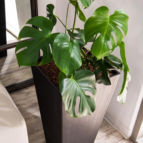 XBrand Modern 30-Inch Tall Square Planter, Tapered, Perfect for Indoor & Outdoor, Patio Decor, Set of 2, Black - Image 2