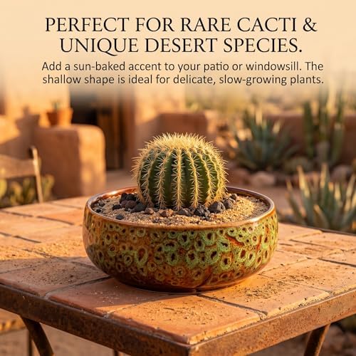 Compact, Leak-Proof Micro Water Feature Bowl, 6.5 Inch Garden Bowl for Water Feature, Decorative Bird Bath and Tabletop Fountain Basin for Indoor Outdoor Zen Deco - Image 5