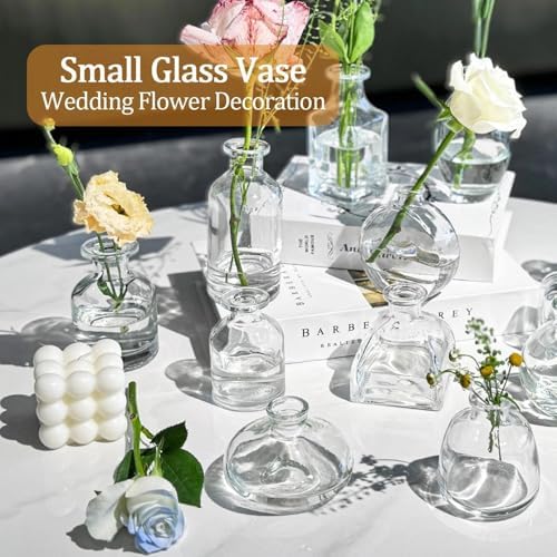 Mini Bud Vases As Wedding Centerpieces for Tables,Clear Bud Vases for Flowers,Small Flower Vases Suitable for Birthday Party,Anniversary,Wedding Reception,Baby Shower (Clear, 12 PCS) - Image 5